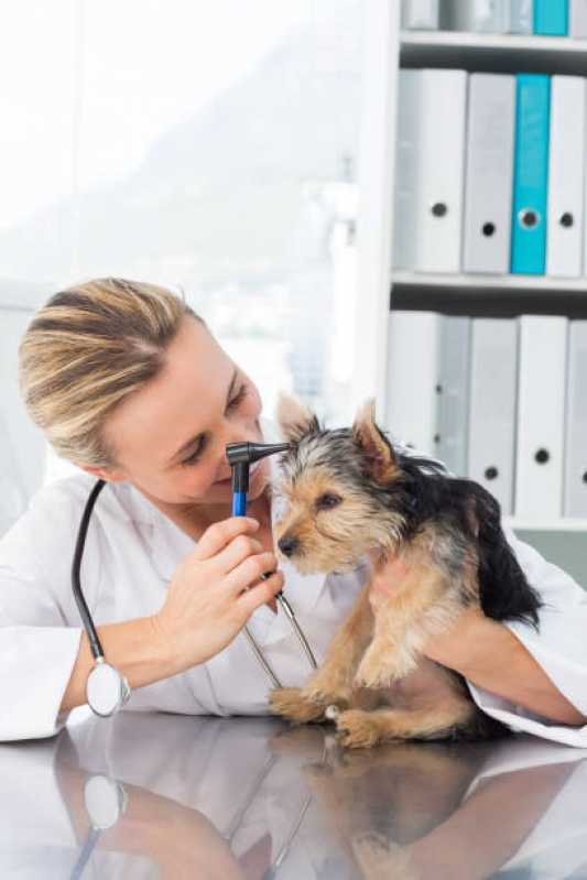 Citopatologia para Cães Marcar Matinhos - Citopatologia Veterinária Diagnóstica