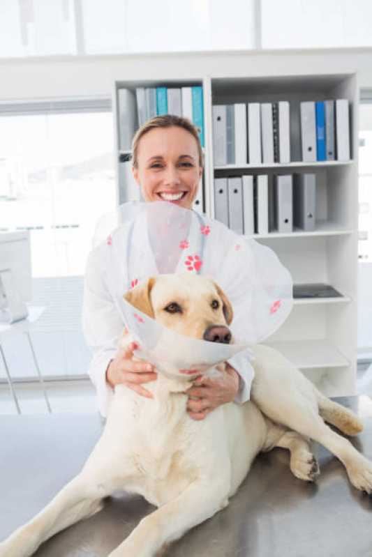 Clinica Especializada em Citopatologia para Bichos São Francisco - Citopatologia para Felinos