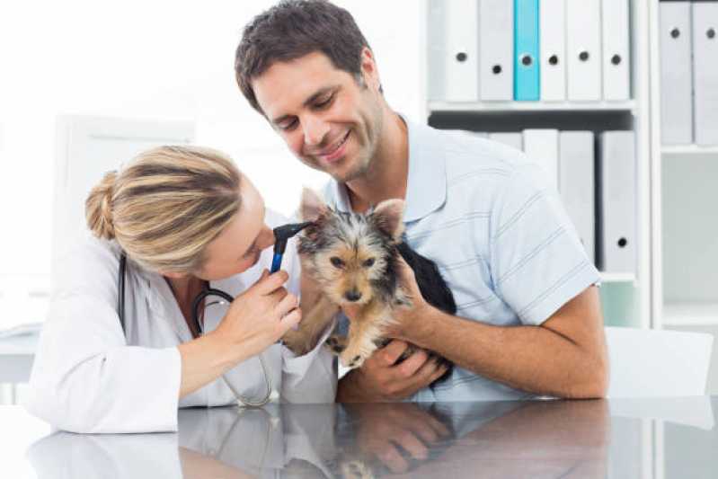 Clinica Especializada em Citopatologia para Cachorros Guaratuba - Citopatologia para Gatos