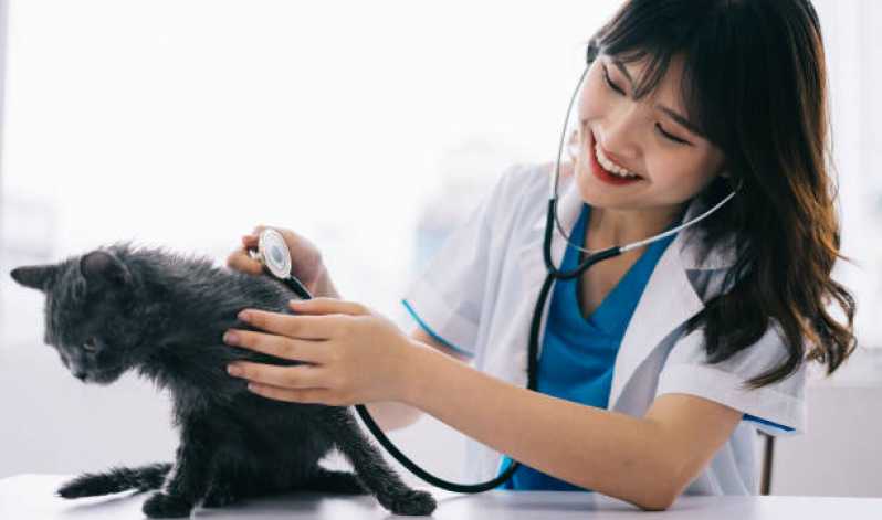 Clinica Especializada em Citopatologia para Gatos Fanny - Citopatologia para Animais
