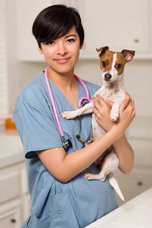 Clinica Especializada em Citopatologia para Pets Abranches - Citopatologia para Cachorros
