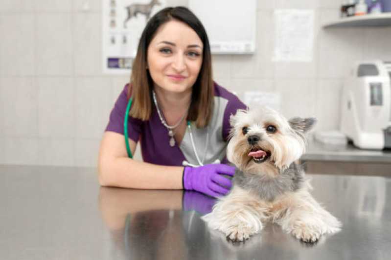 Clinica Especializada em Ecocardiodoppler em Cães Matinhos - Ecocardiodoppler para Cachorro