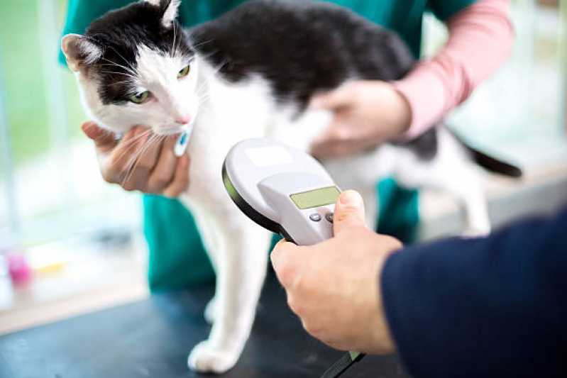 Clinica Especializada em Microchip para Pets Balsa Nova - Microchip para Identificação Animal