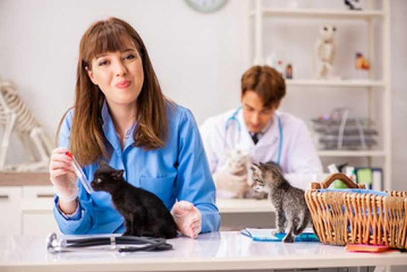 Diagnóstico Laboratorial para Animais Domésticos Marcar Tarumã - Diagnóstico Laboratorial Veterinário
