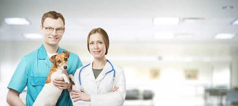 Diagnóstico Laboratorial para Animais Marcar Cristo Rei - Diagnóstico Laboratorial Veterinário