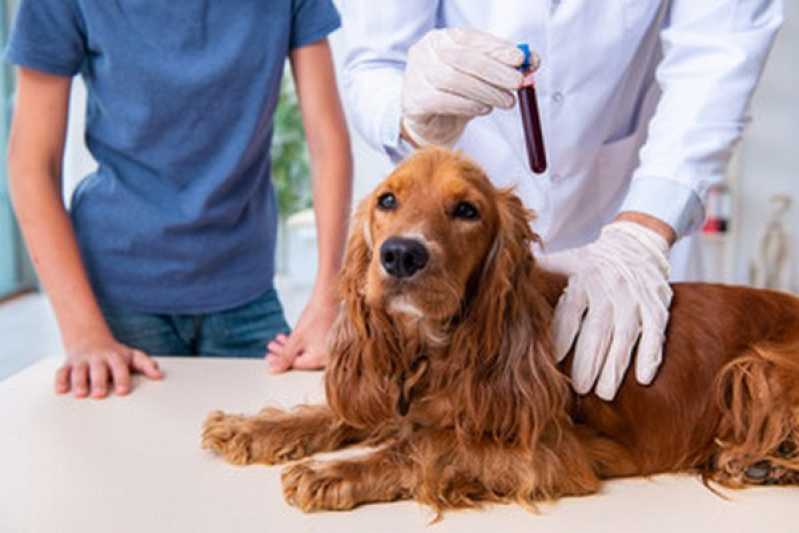 Diagnóstico Laboratorial para Cães Campo de Santana - Diagnóstico Laboratorial Veterinário