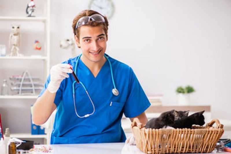 Diagnóstico Laboratorial para Gato Marcar Tatuquara - Diagnóstico Laboratorial para Animais