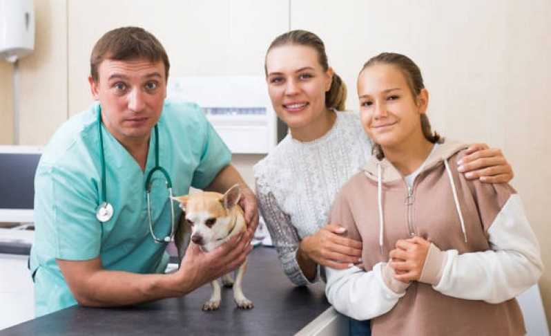 Diagnóstico Laboratorial Veterinário Marcar Pineville - Diagnóstico Laboratorial para Gatos