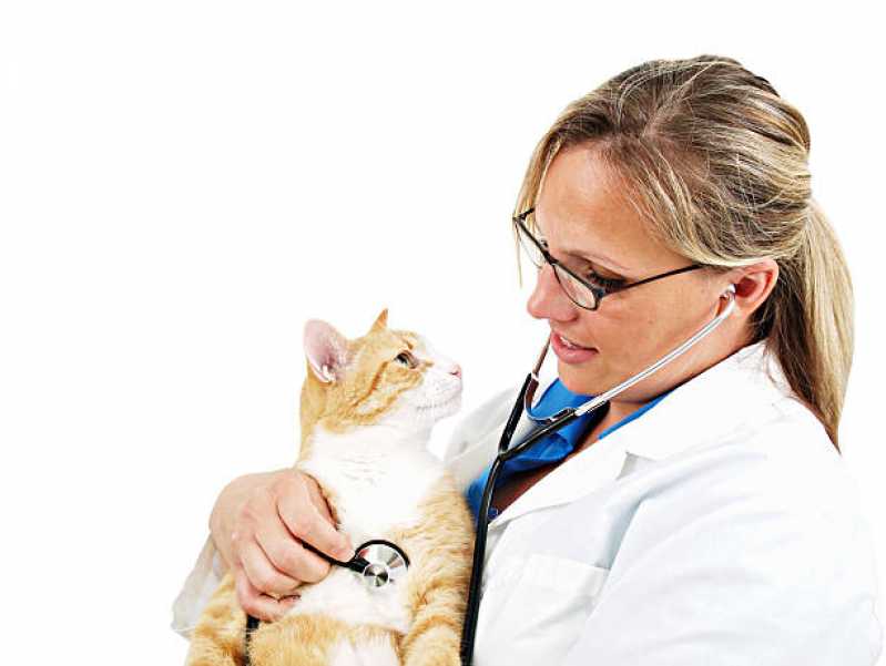 Ecocardiodoppler para Pets Agendar Estância Pinhais - Ecocardiodoppler para Animais de Estimação