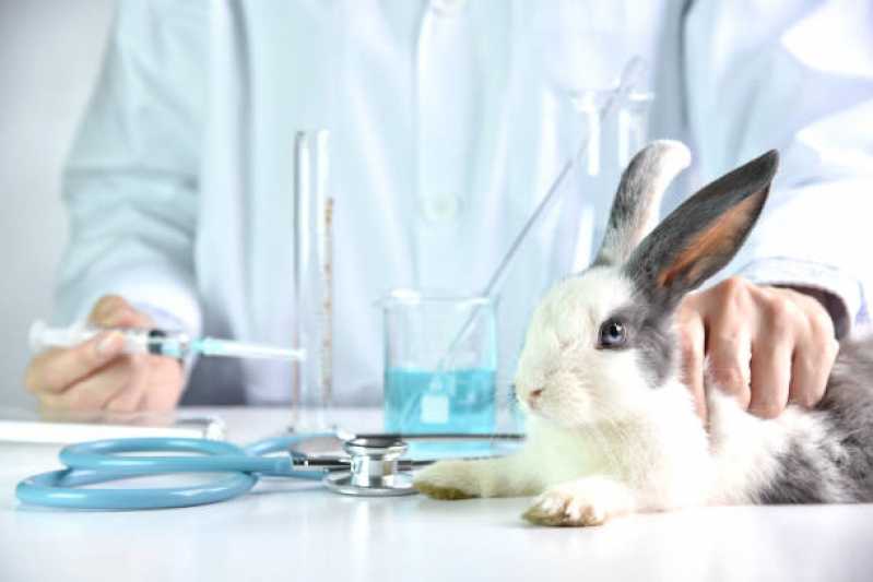 Histopatologia para Animais Agendar Tingui - Histopatologia para Cães e Gatos