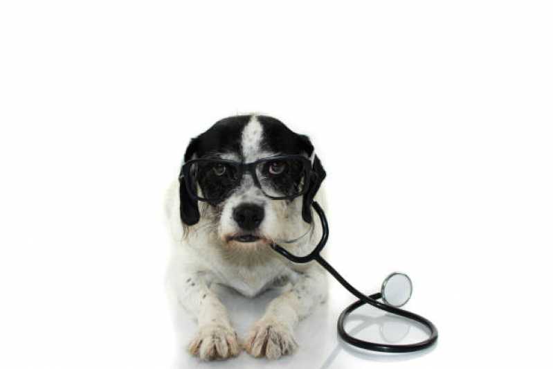 Histopatologia para Cachorro Campo de Santana - Histopatologia para Cães e Gatos
