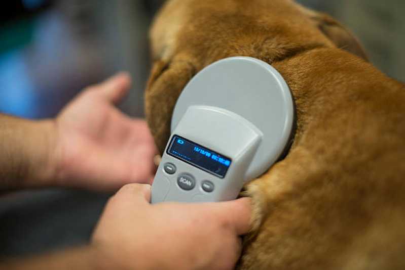 Microchip Identificação Animal Pilarzinho - Microchip para Cães