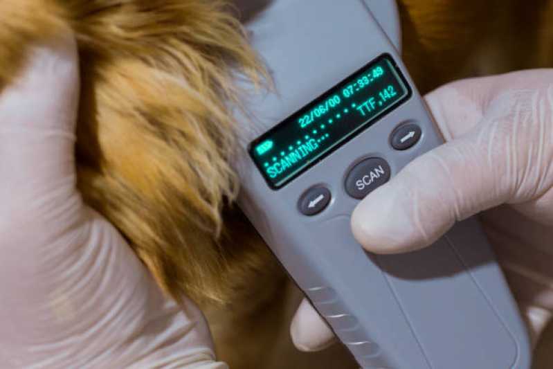 Microchip para Cães Guabirotuba - Microchip em Animais
