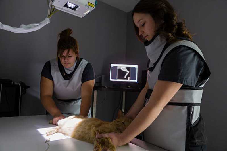 Raio X Medicina Veterinária Marcar Centro de Piraquara - Raio X Animais de Estimação