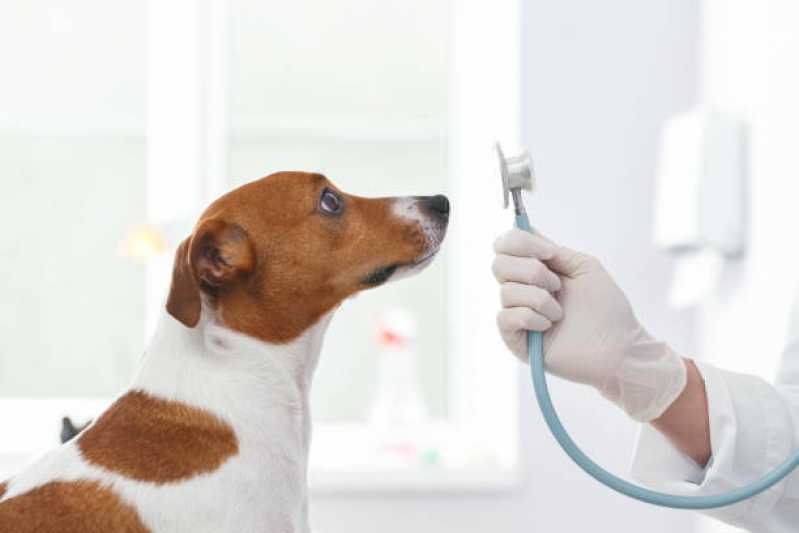 Histopatologia Veterinária