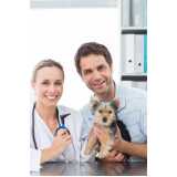 citopatologia para cachorros marcar Centro de Quatro Barras