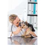 citopatologia para cães marcar Lamenha Pequena