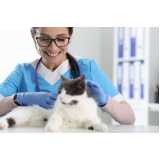 citopatologia para felinos Atuba