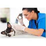 citopatologia para pets marcar Vila Taruma