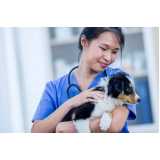 clinica especializada em citopatologia para animais de estimação Roça Grande