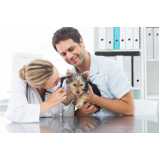 clinica especializada em citopatologia para cachorros Balsa Nova