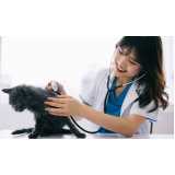 clinica especializada em citopatologia para gatos Pilarzinho