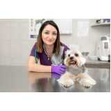 clinica especializada em ecocardiodoppler em cães Matinhos
