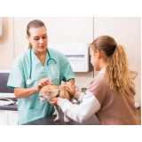 diagnóstico laboratorial para animais Matinhos