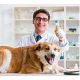 diagnóstico laboratorial para cachorros marcar Centro de Colombo
