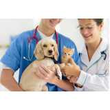 diagnóstico laboratorial veterinário Ecoville