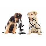 histopatologia para cães e gatos Seminário