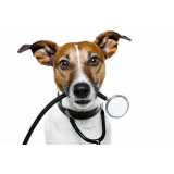 medida de pressão arterial canina marcar Lamenha Pequena