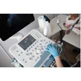 onde fazer ultrassonografia em animais Cascatinha
