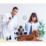 onde tem diagnóstico laboratorial para cães Bom Retiro
