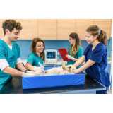 ultrassonografia abdominal veterinária marcar Augusta