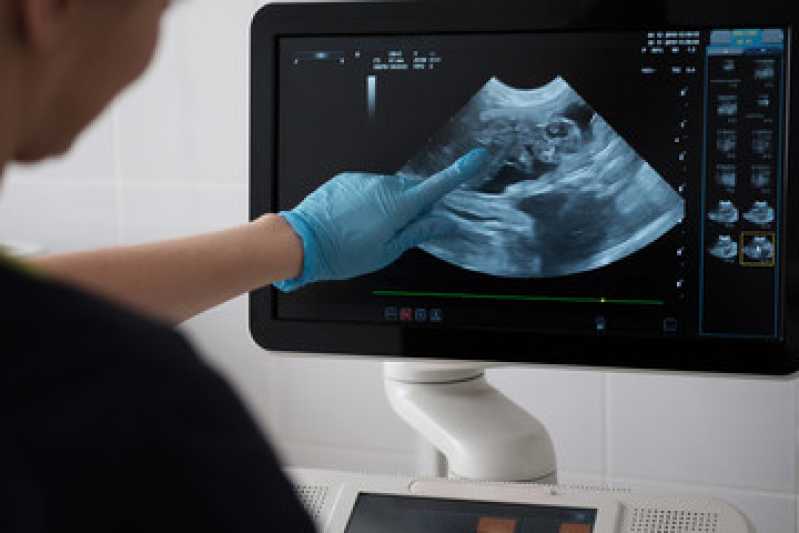 Ultrassonografia em Animais Centro - Ultrassonografia Veterinária